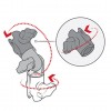 Thumbs 1