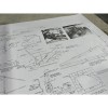 Thumbs 1