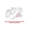 Thumbs 1