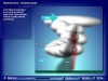 Thumbs 1